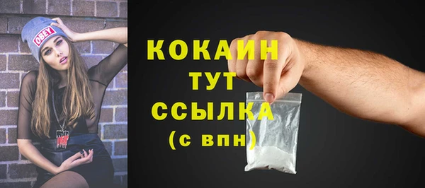 гашик Гусь-Хрустальный