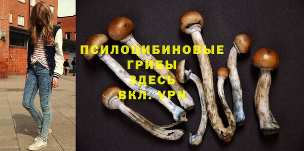 MESCALINE Гусев