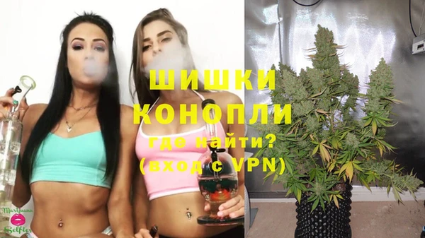 гашик Гусь-Хрустальный