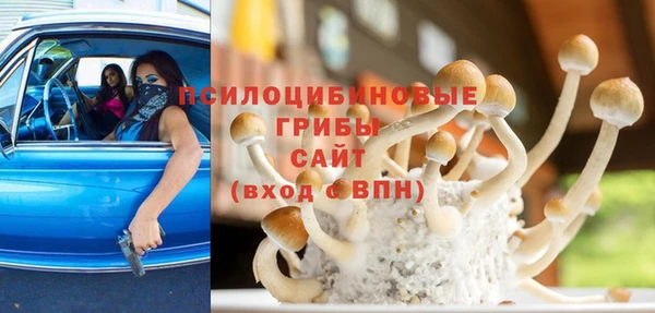 MESCALINE Гусев