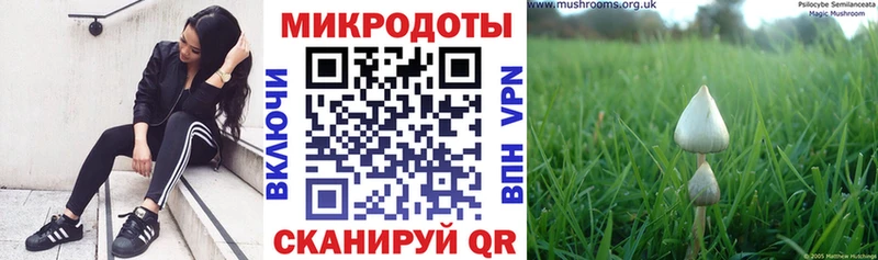купить MEGA tor Псилоцибиновые грибы Psilocybine cubensis Данилов